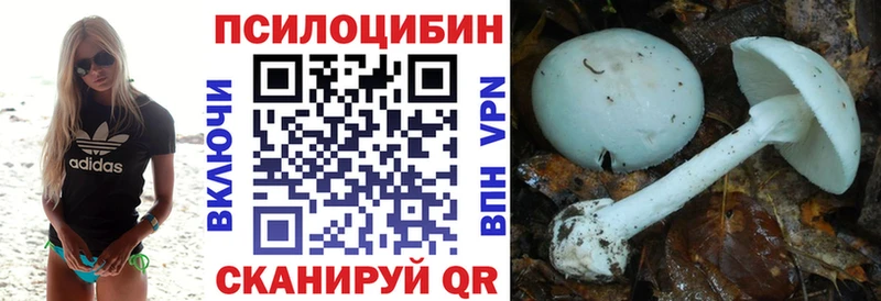 закладки  Лесной  Псилоцибиновые грибы Cubensis 