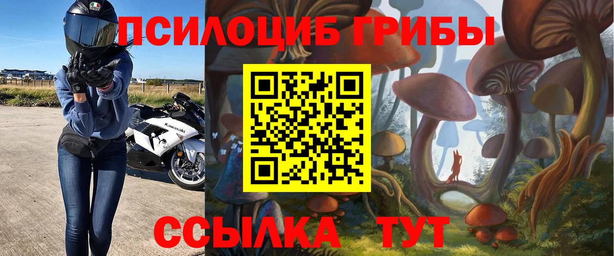 Галлюциногенные грибы прущие грибы Лесной