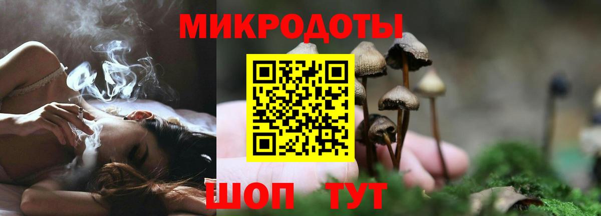 Лесной  Галлюциногенные грибы мицелий  Вход с VPN 