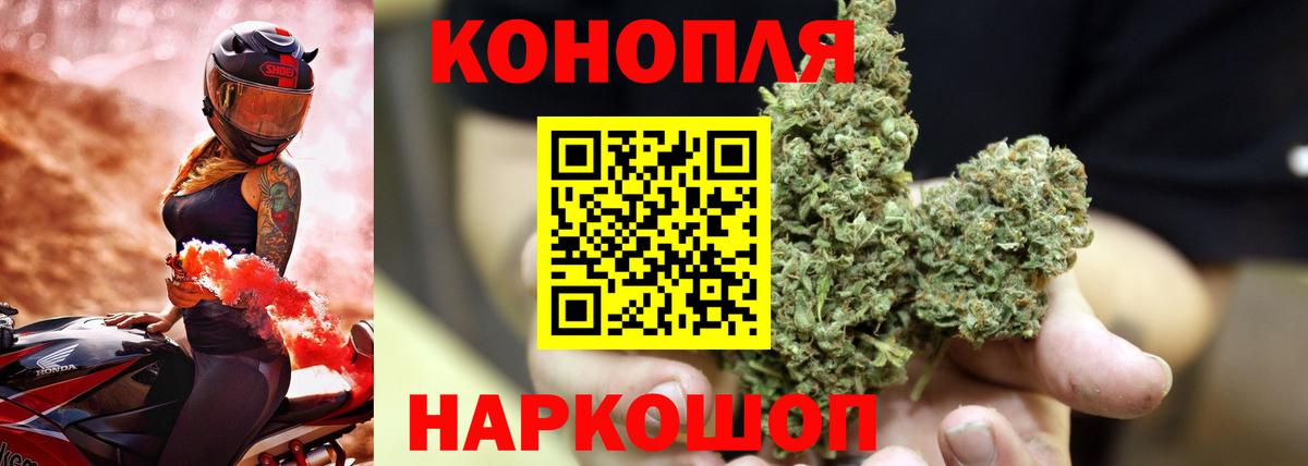 Лесной  Бошки Шишки сатива  Каннабис SATIVA & INDICA  Вход с VPN 